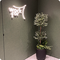 エレベーターを降りて正面の植栽とロゴマークの画像